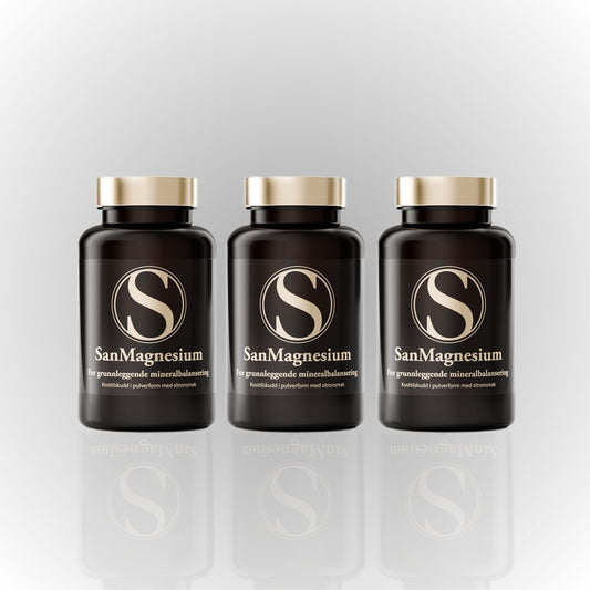 SanMagnesium mineral powder x 3 bottles